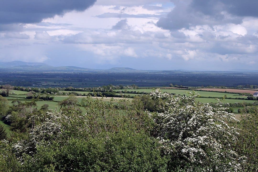 Best Hiking Trails in County Kildare: A Local's Ultimate Guide