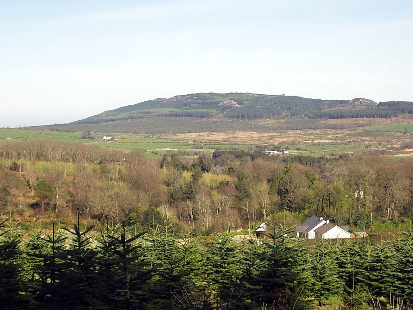 Best Hiking Trails in Wicklow: Your Complete Guide to the Garden of Ireland