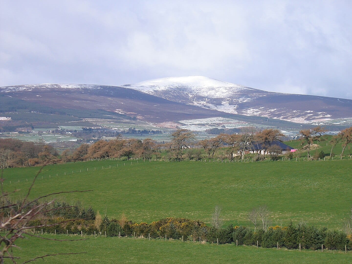 Best Hiking Trails in Wicklow: Your Complete Guide to the Garden of Ireland