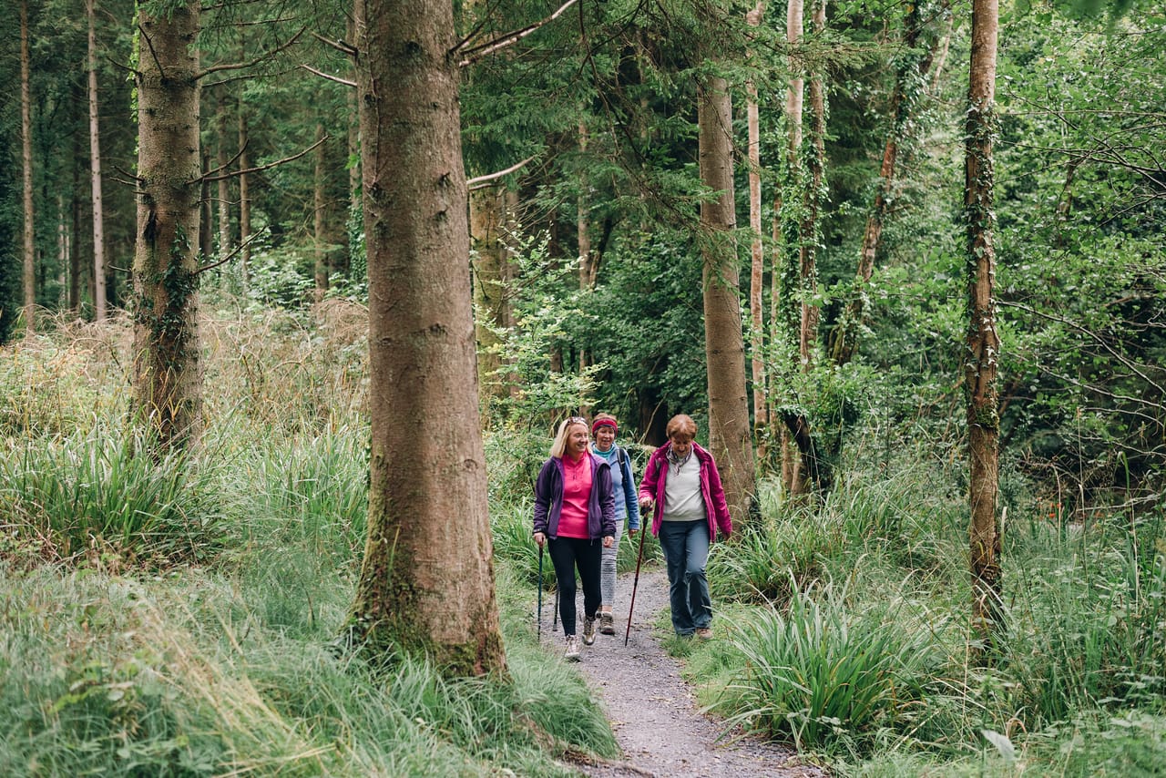 Best Hiking Trails in Offaly: Your Complete Walking Guide to Ireland's Faithful County