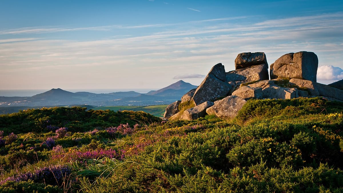 Things to Do Across County Dublin: Go Beyond the Tourist Traps