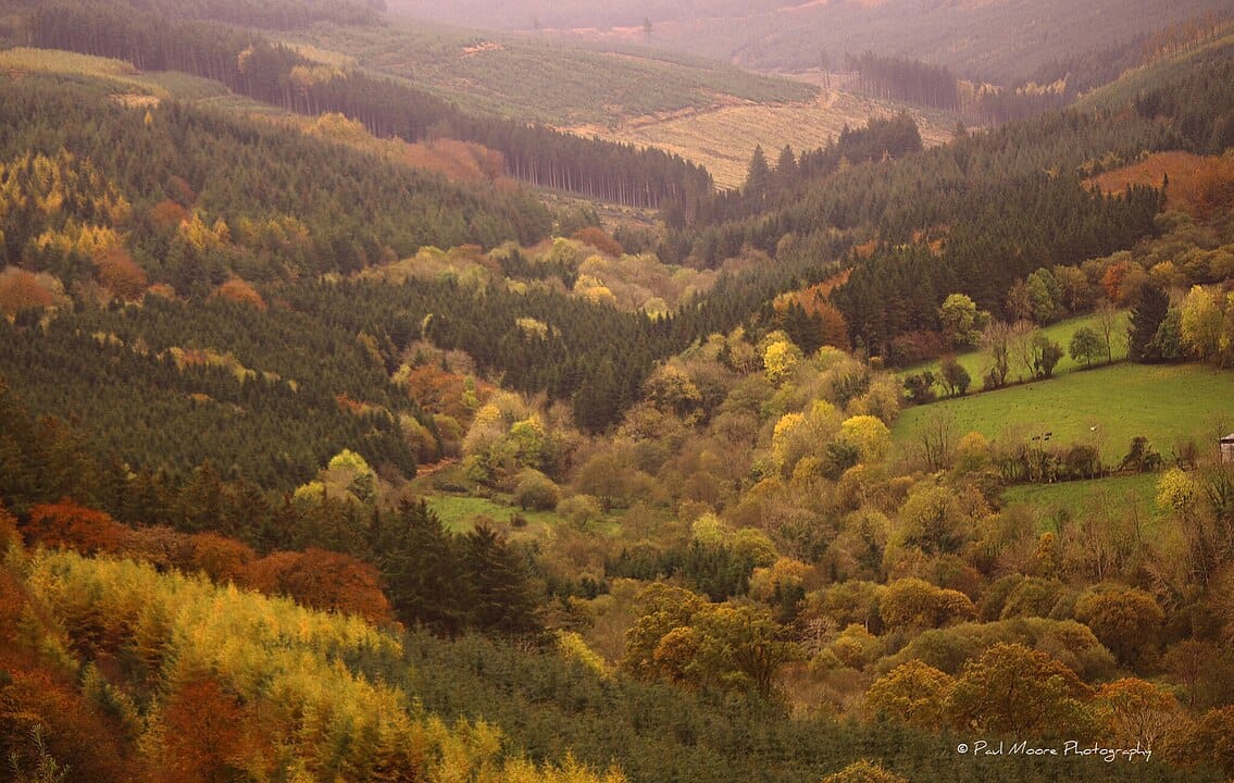 Things to Do in Offaly: The Faithful County's Hidden Treasures