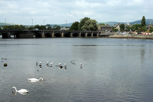 Things to Do in Arklow: The Ultimate Local's Guide to Wicklow's Maritime Hub