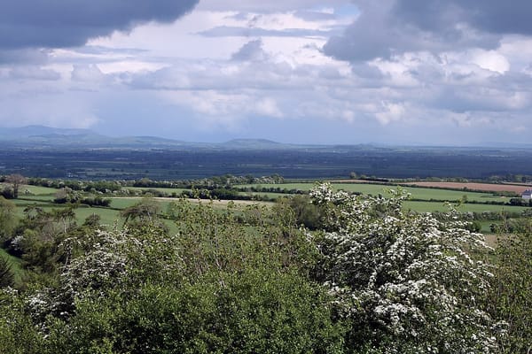 Best Hiking Trails in County Kildare: A Local's Ultimate Guide