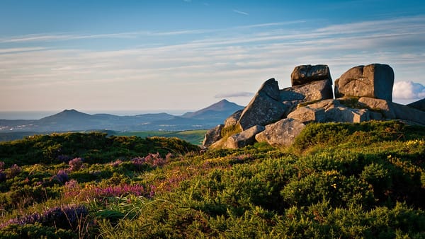 Things to Do Across County Dublin: Go Beyond the Tourist Traps