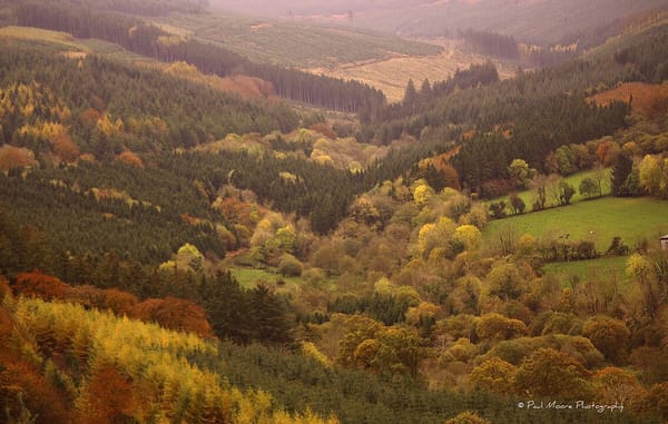 Things to Do in Offaly: The Faithful County's Hidden Treasures
