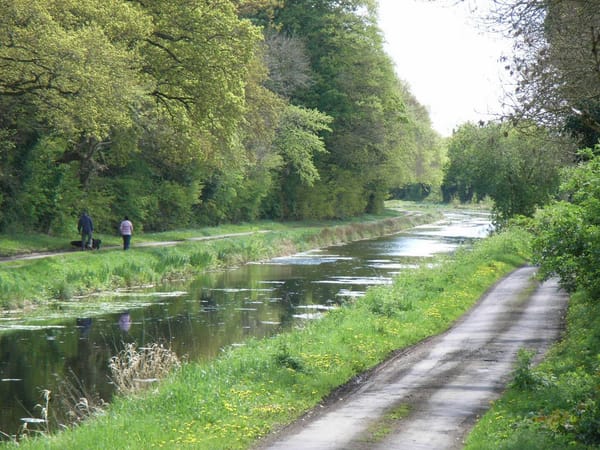 Best Hiking Trails in Westmeath: Your Complete Guide to Ireland's Hidden Heartlands