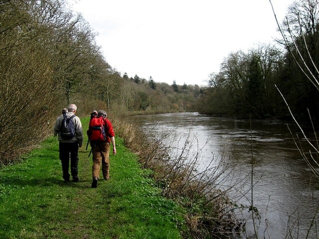Best Places to Hike in County Carlow: Local Trails That Serious Walkers Need to Know About