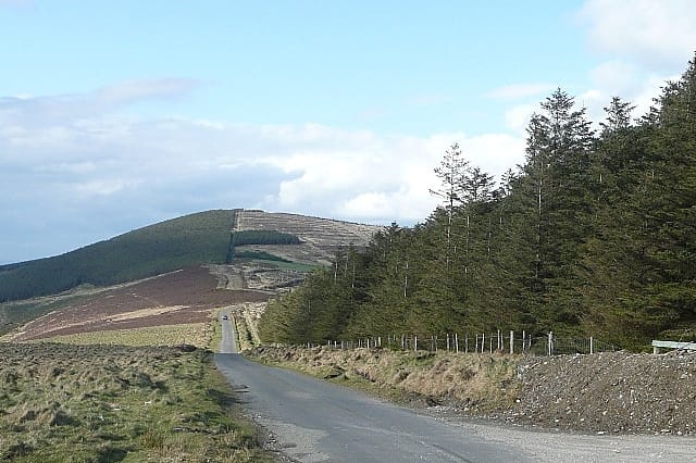 Best Places to Hike in County Carlow: Local Trails That Serious Walkers Need to Know About