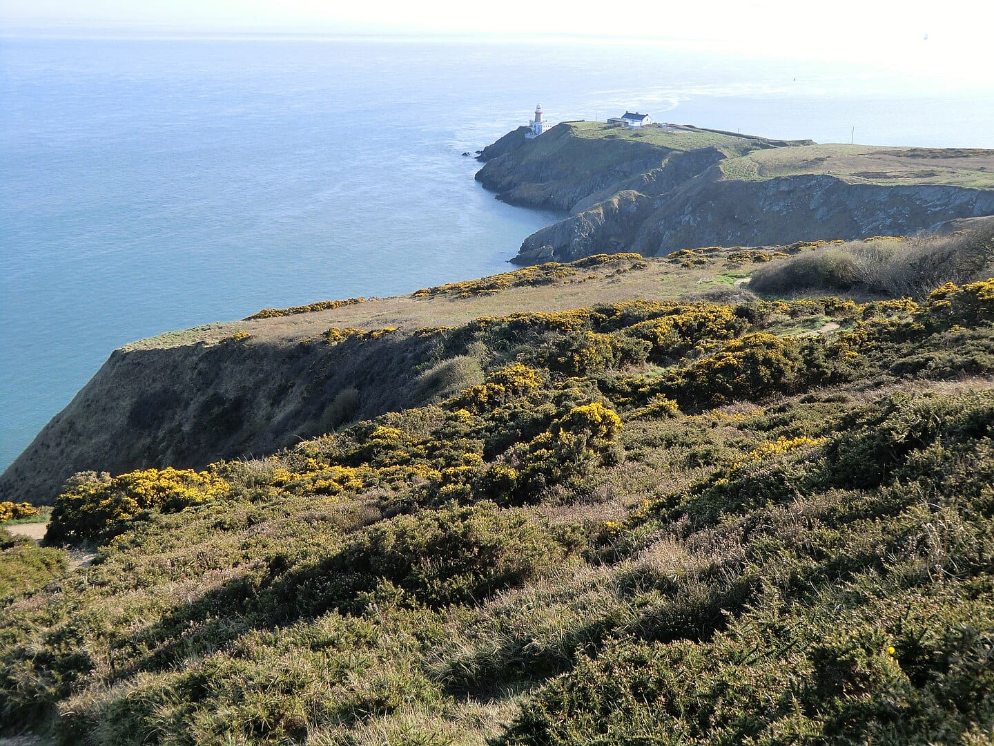 Best Hiking Trails in County Dublin: A Comprehensive Local's Guide