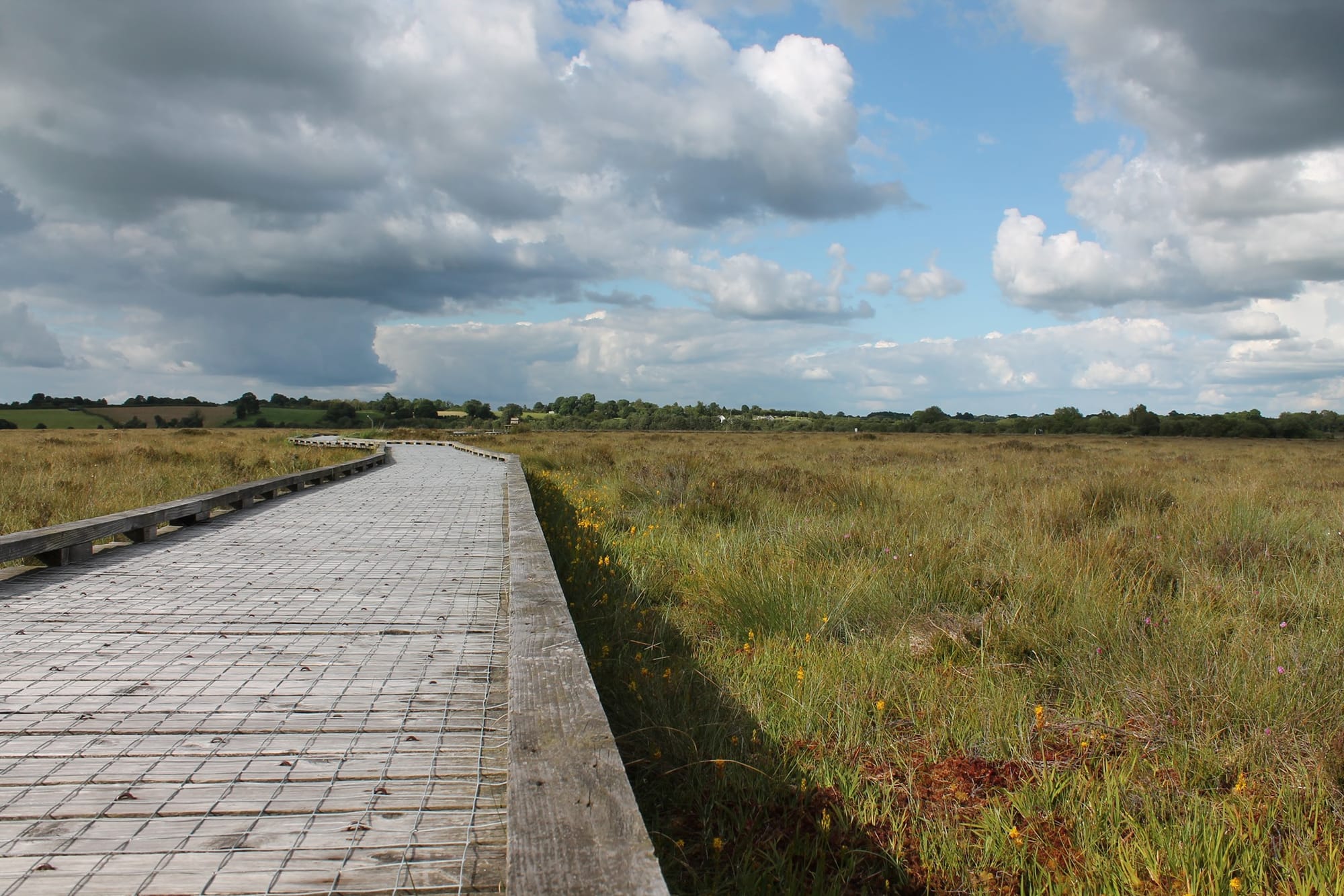 Best Hiking Trails in Offaly: Your Complete Walking Guide to Ireland’s Faithful County