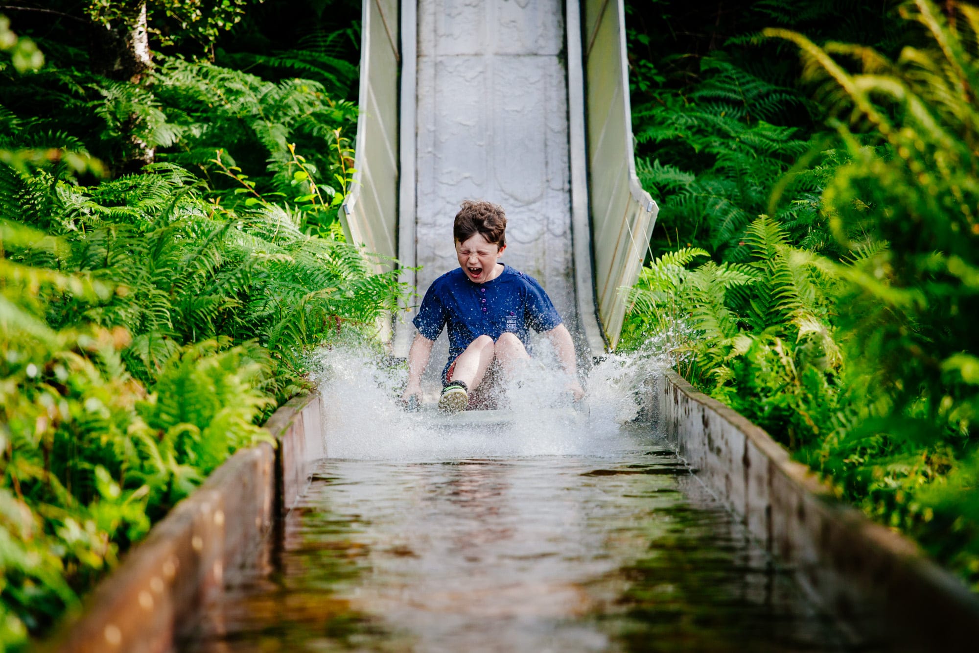 Best Hiking Trails in Wicklow: Your Complete Guide to the Garden of Ireland