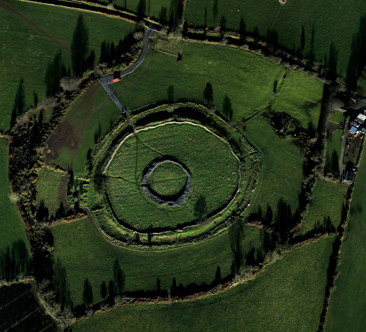 Best Places to Hike in County Carlow: Local Trails That Serious Walkers Need to Know About