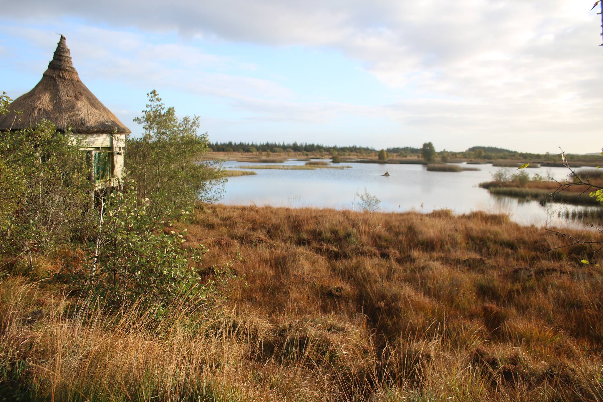 Best Hiking Trails in Offaly: Your Complete Walking Guide to Ireland’s Faithful County