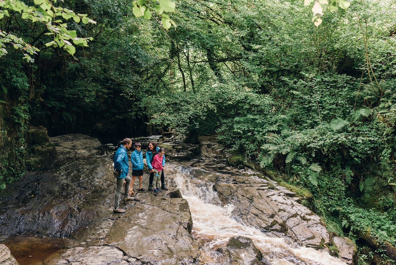 Best Hiking Trails in Offaly: Your Complete Walking Guide to Ireland’s Faithful County