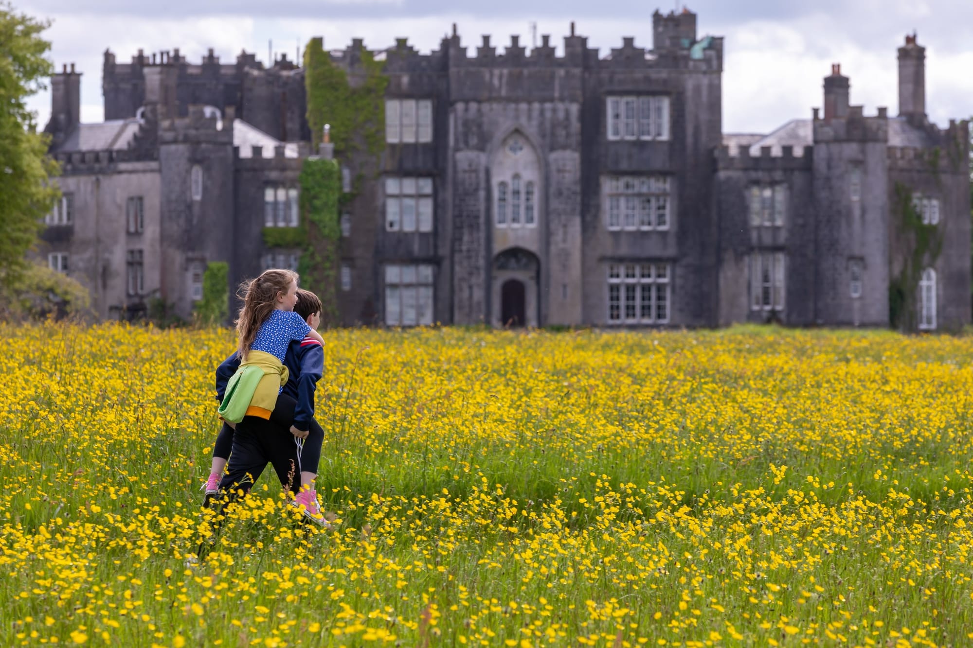 Best Hiking Trails in Offaly: Your Complete Walking Guide to Ireland’s Faithful County