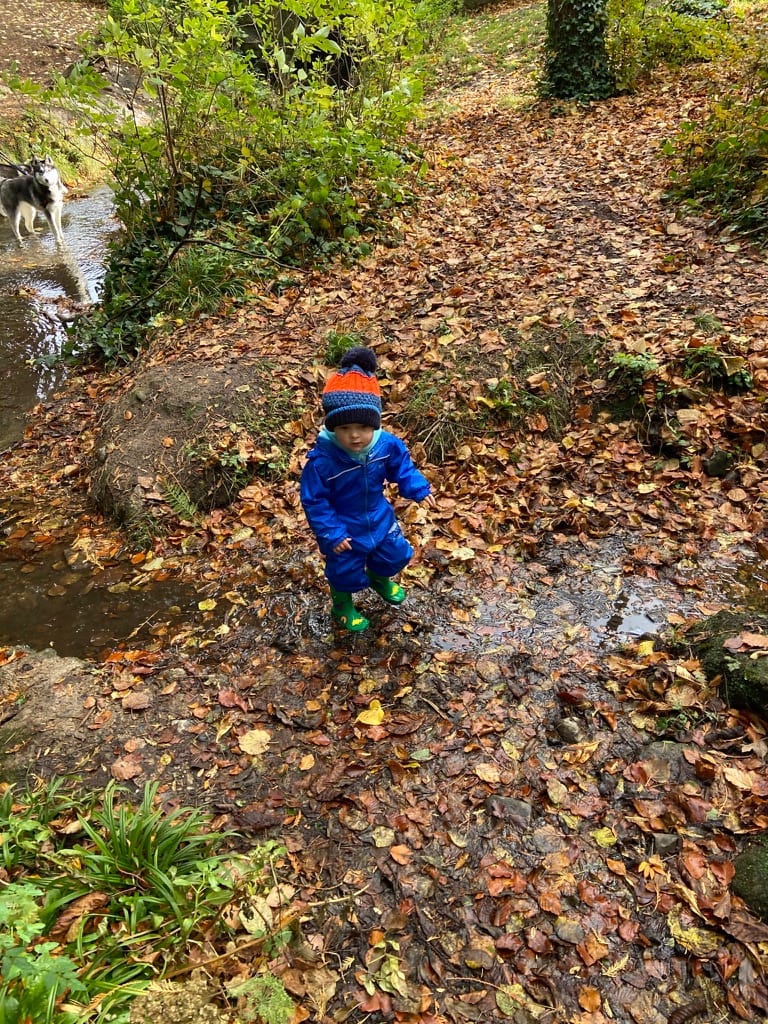 7 Hidden Things to Do in Celbridge You Won’t Want to Miss