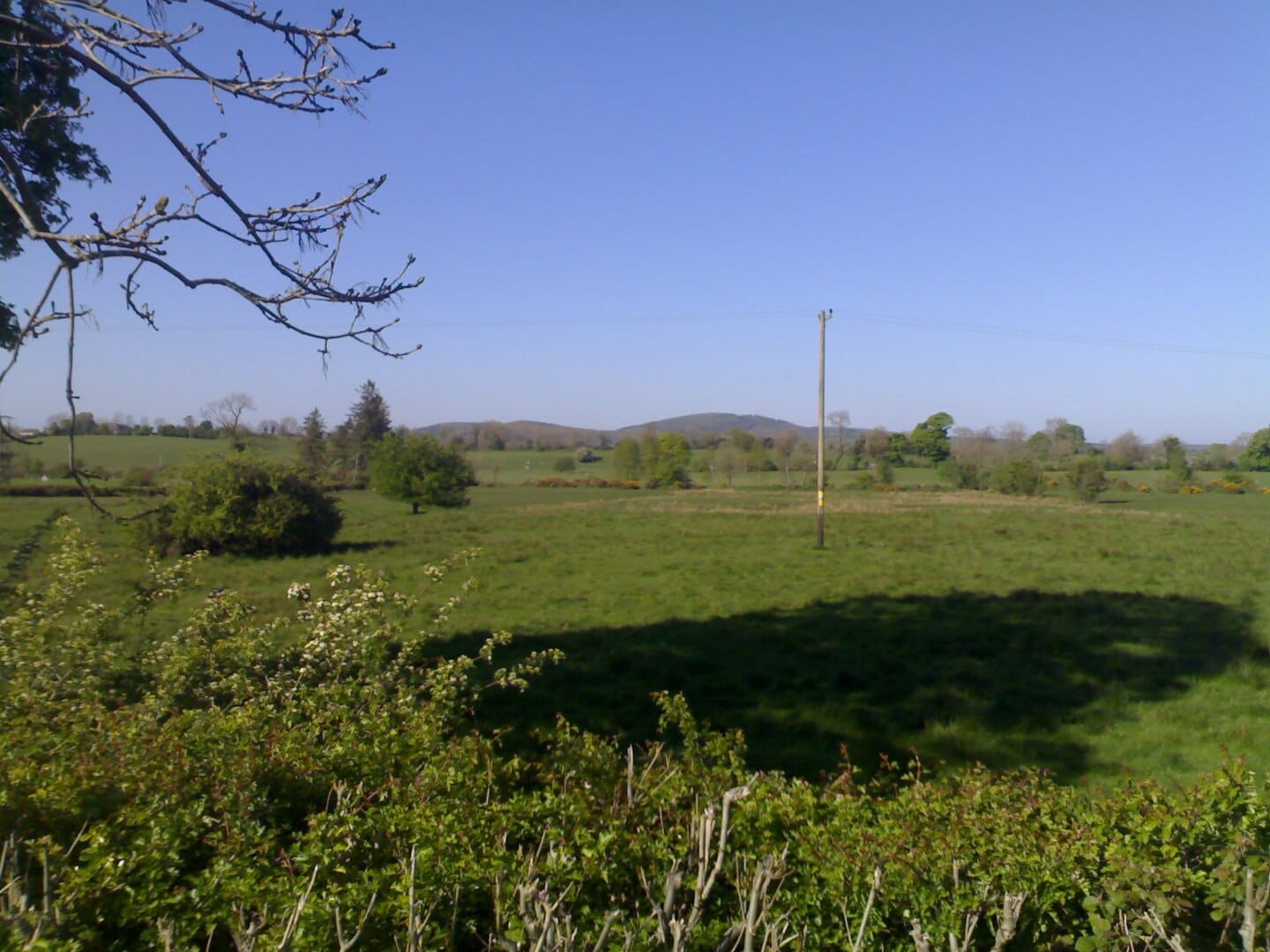Best Hiking Trails in Westmeath: Your Complete Guide to Ireland’s Hidden Heartlands