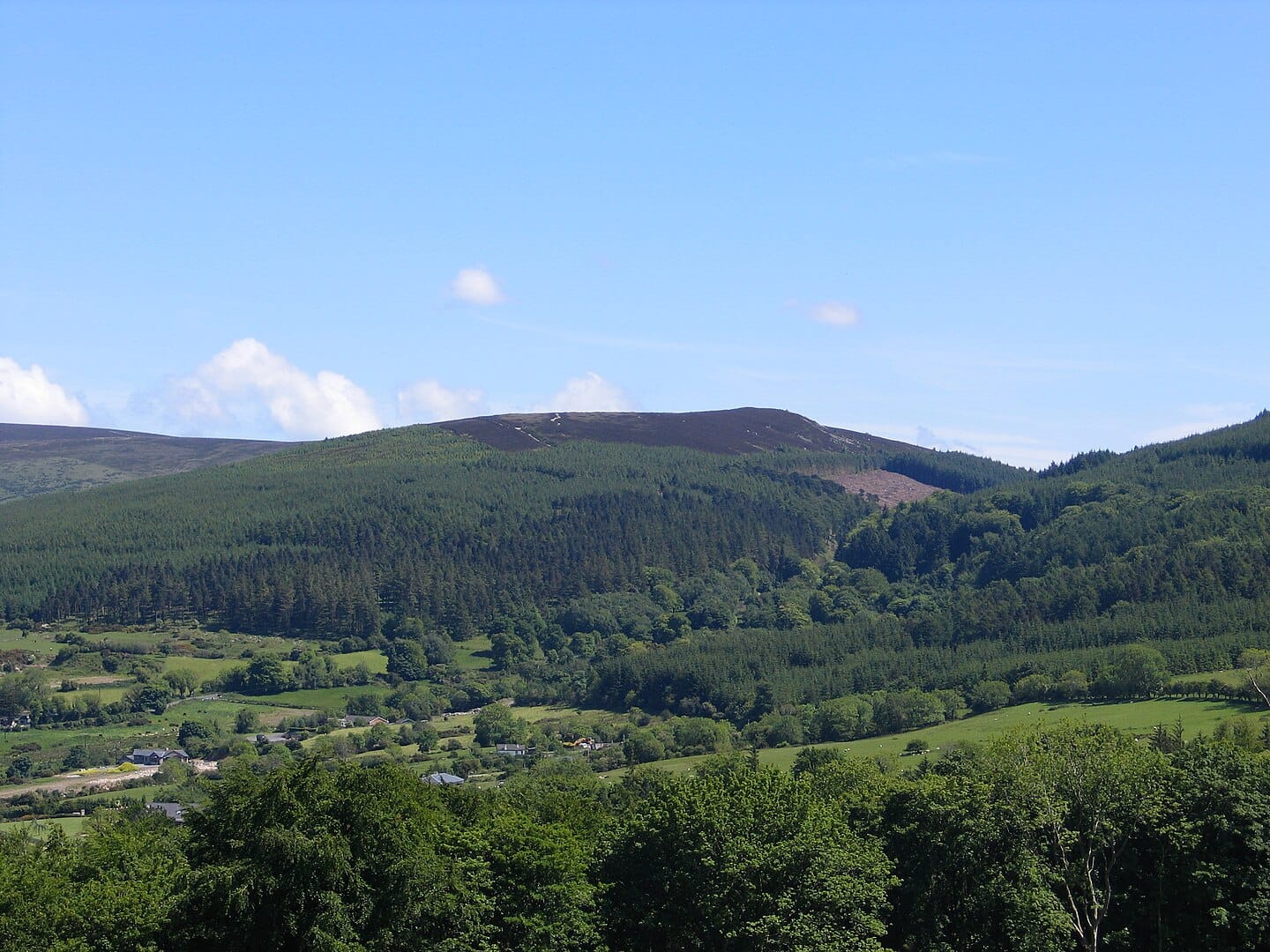 Best Hiking Trails in County Dublin: A Comprehensive Local's Guide