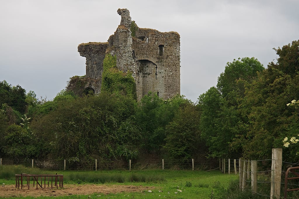 Best Hiking Trails in Laois: Where Ancient Paths Meet Mountain Views