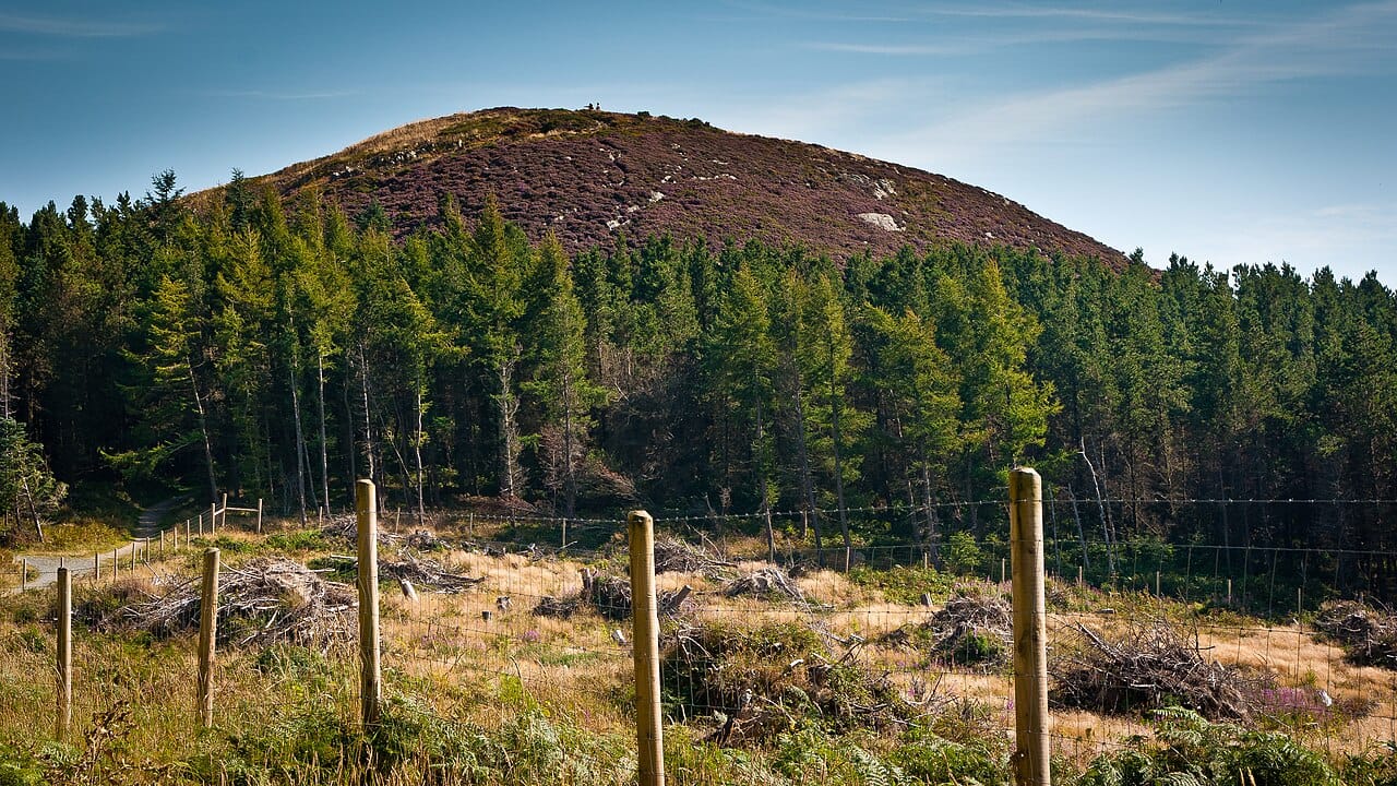 Best Hiking Trails in County Dublin: A Comprehensive Local's Guide