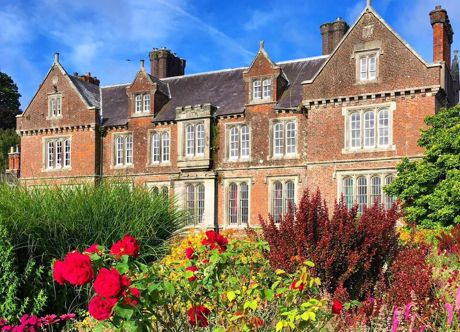 Things to Do in Wexford: The Ultimate Local’s Handbook