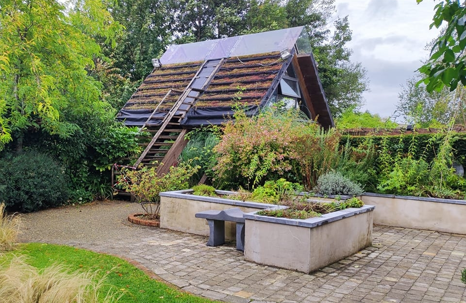 Best Hiking Trails in Carlow: Where Ancient Paths Meet Modern Adventures