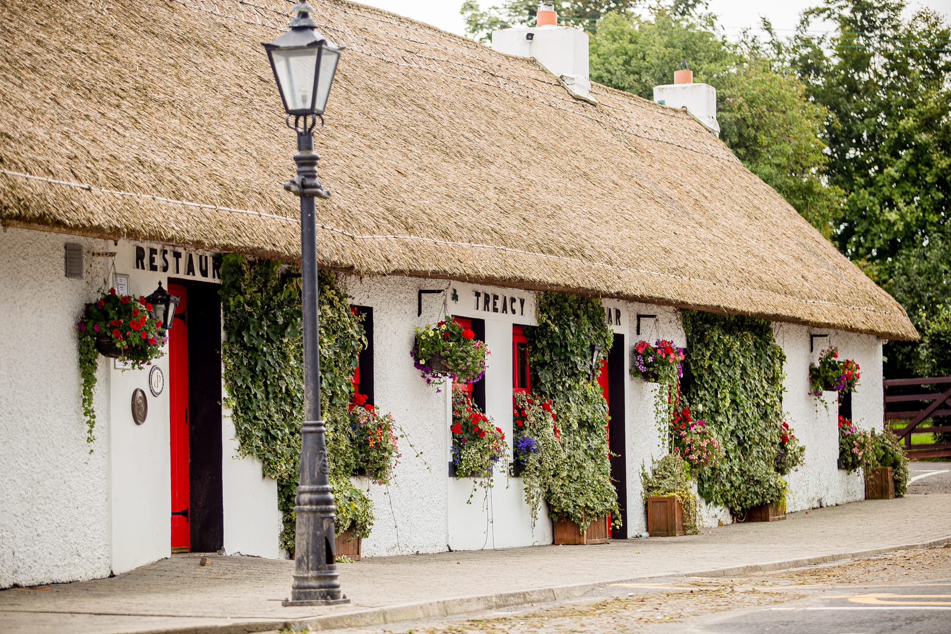Best Hiking Trails in Laois: Where Ancient Paths Meet Mountain Views